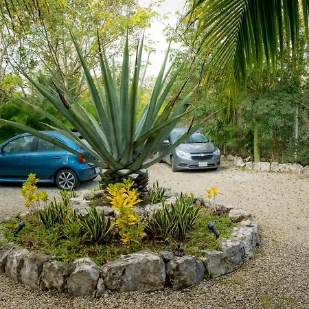 Aldea Jo-Yah Villa Tulum Exterior photo